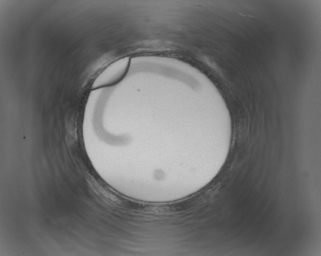 X0000080661451200701121554