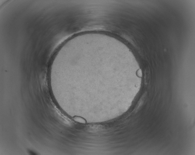 X0000080661452200701121554