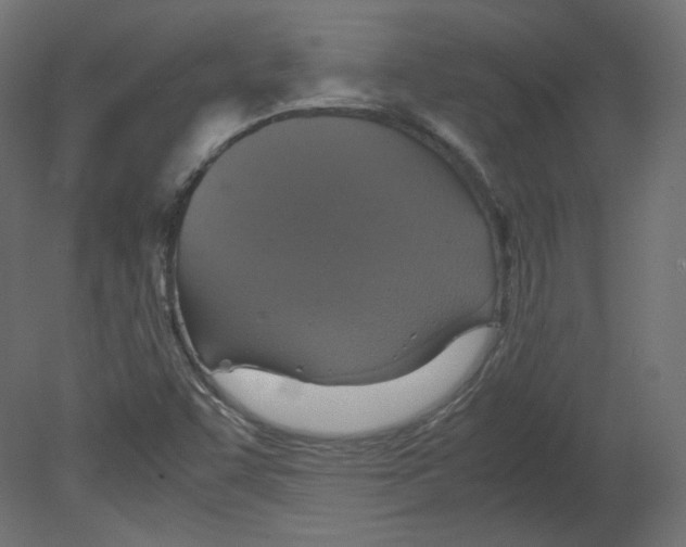 X0000080661455200701121554