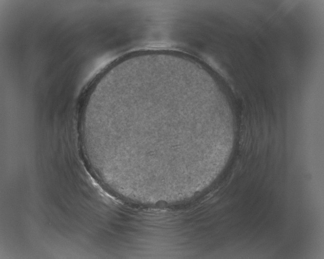 X0000080661456200701121554