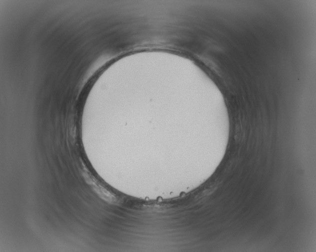 X0000080661458200701121554