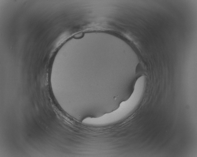 X0000080661459200701121554