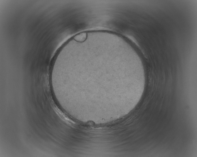 X0000080661460200701121554