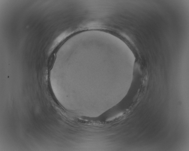 X0000080661461200701121554