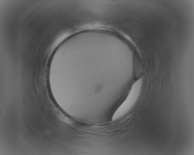 X0000080661463200701121554