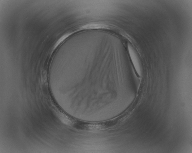 X0000080661465200701121554