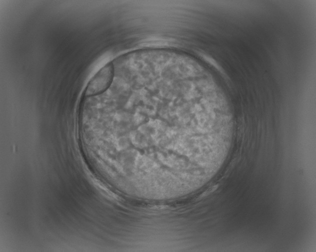 X0000080661467200701121553