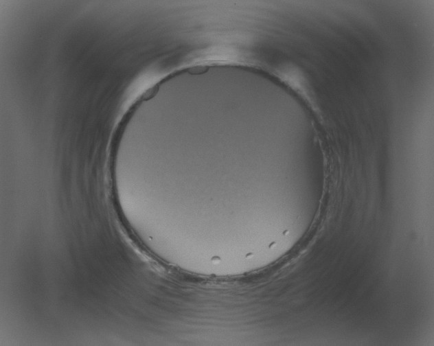 X0000080661469200701121553