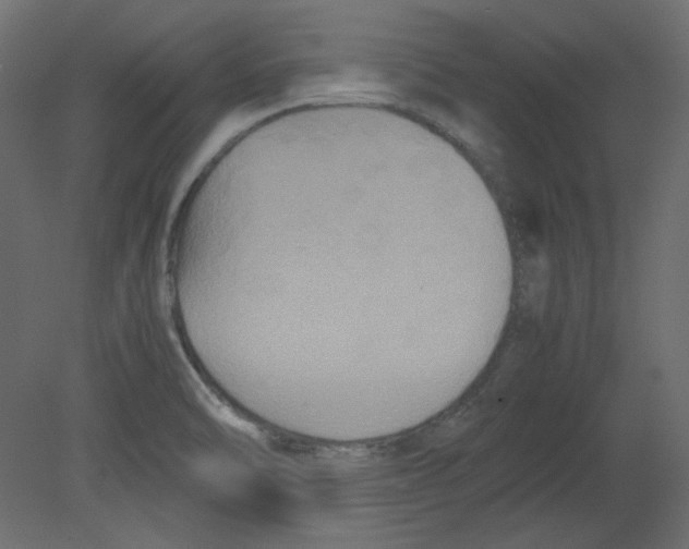 X0000080661470200701121553