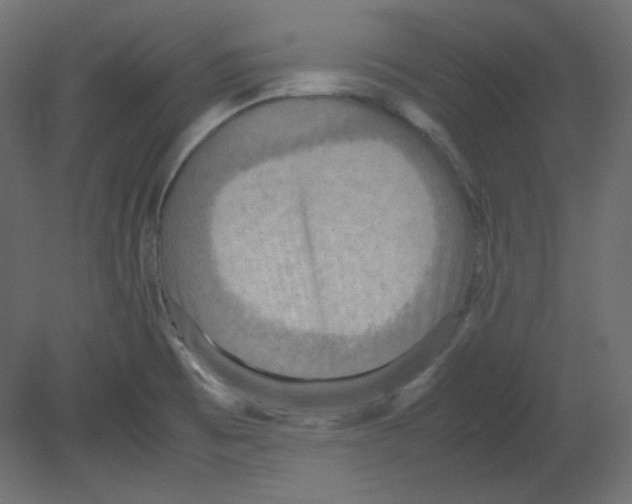 X0000080661473200701121553