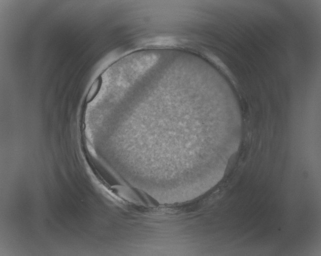 X0000080661475200701121553