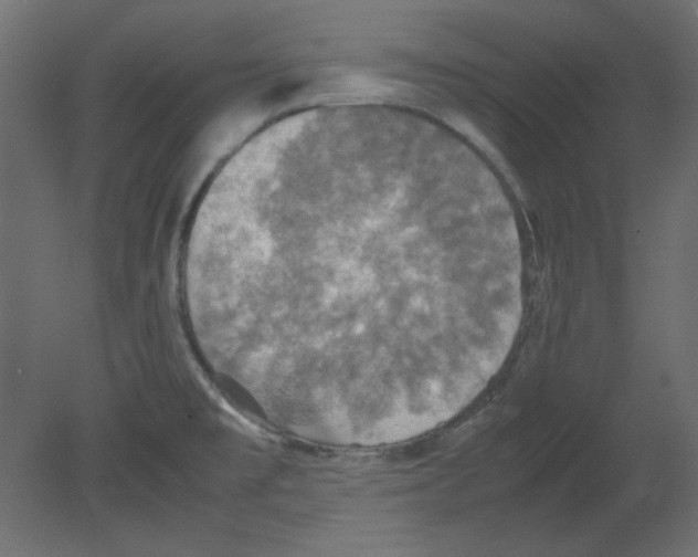 X0000080661477200701121553