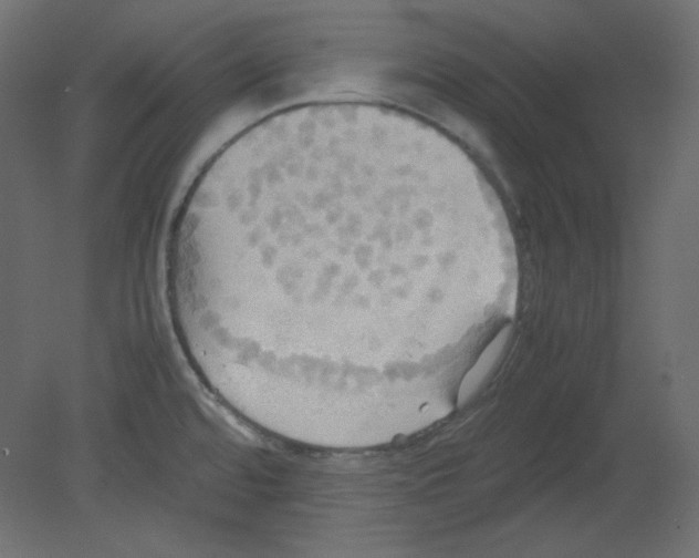 X0000080661480200701121553