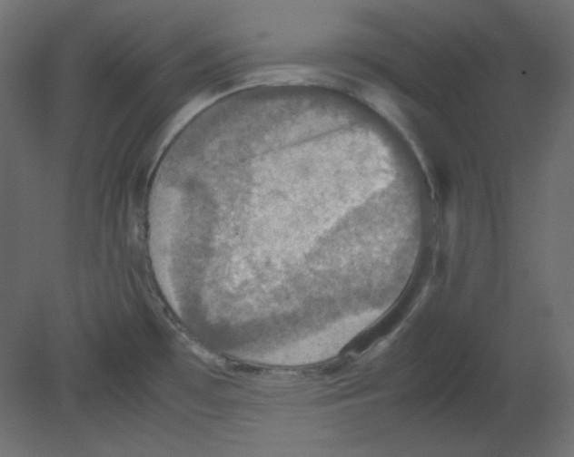 X0000080661481200701121553