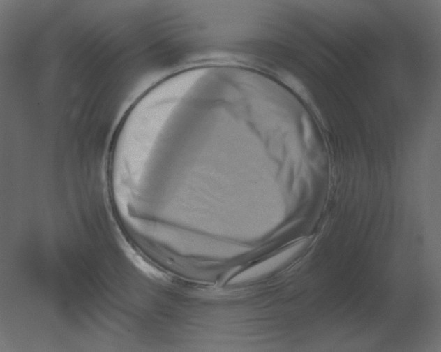 X0000080661482200701121553