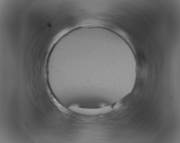 X0000080661485200701121553