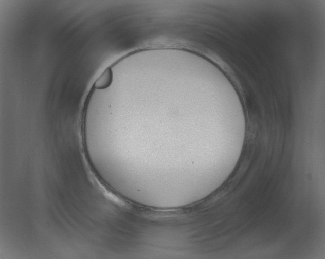 X0000080661486200701121553