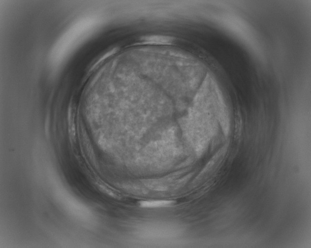 X0000080661487200701121553