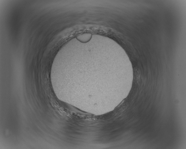 X0000080661489200701121552