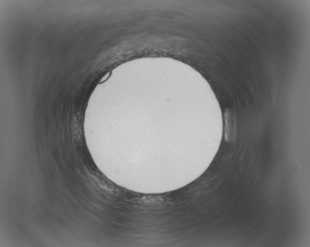 X0000080661491200701121552