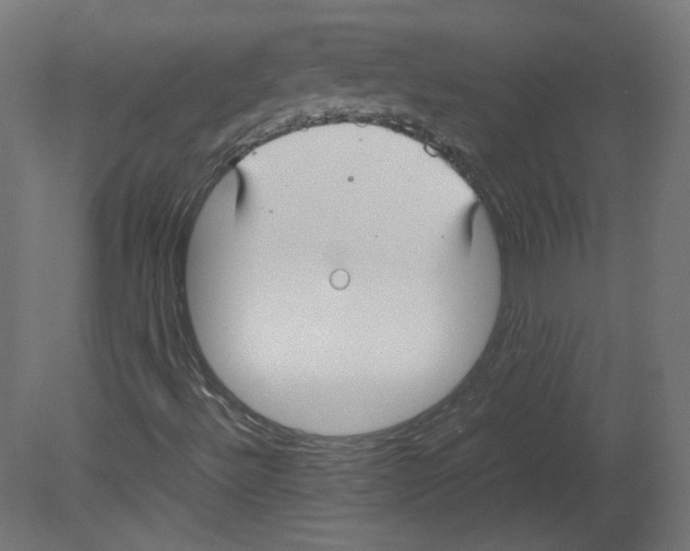 X0000080661492200701121552