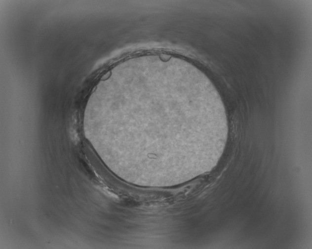 X0000080661494200701121552