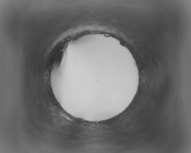 X0000080661495200701121552