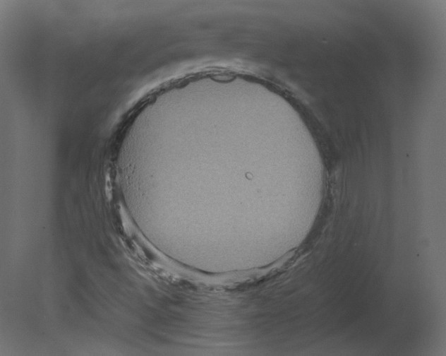 X0000080661496200701121552