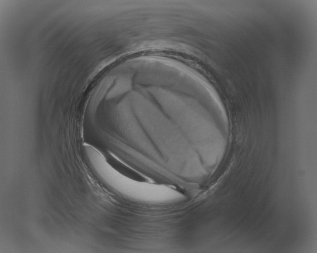 X0000080661497200701121552