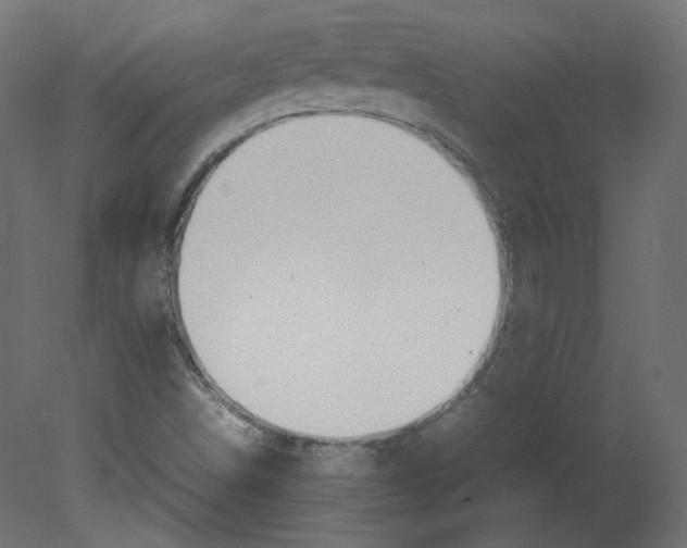 X0000080661498200701121552