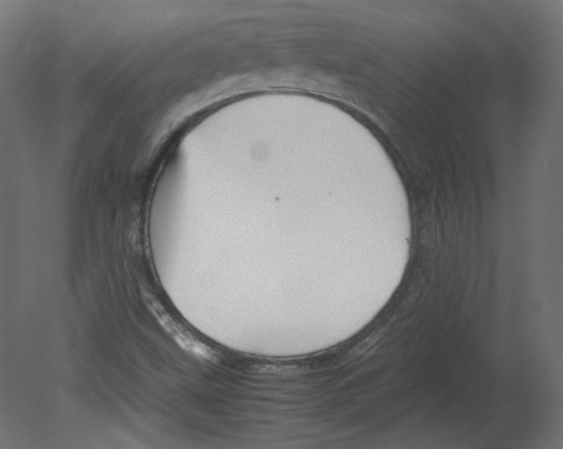 X0000080661499200701121552