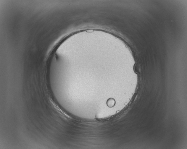 X0000080661502200701121553