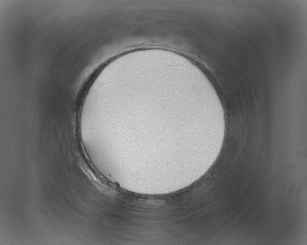 X0000080661503200701121553