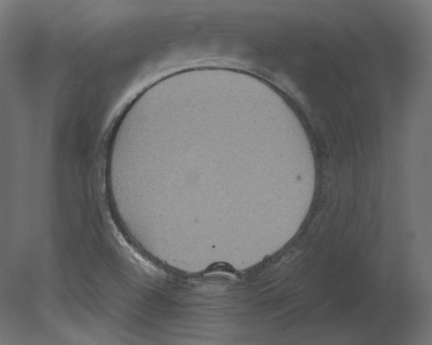 X0000080661504200701121553