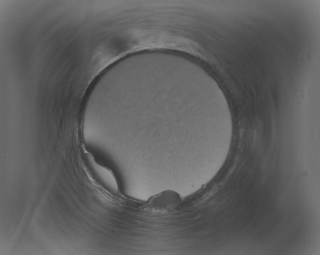 X0000080661505200701121553