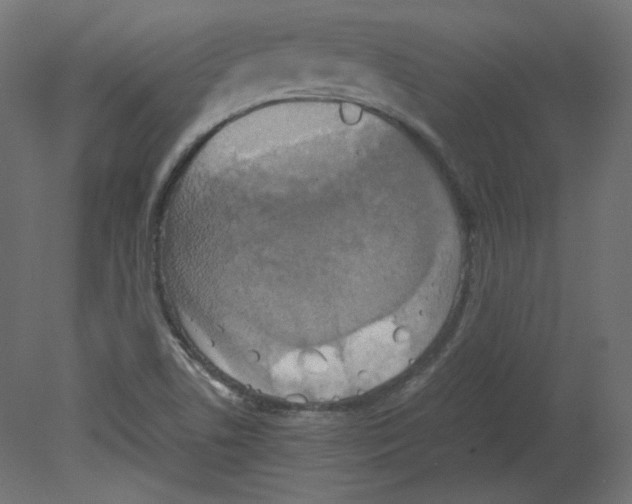 X0000080661506200701121553