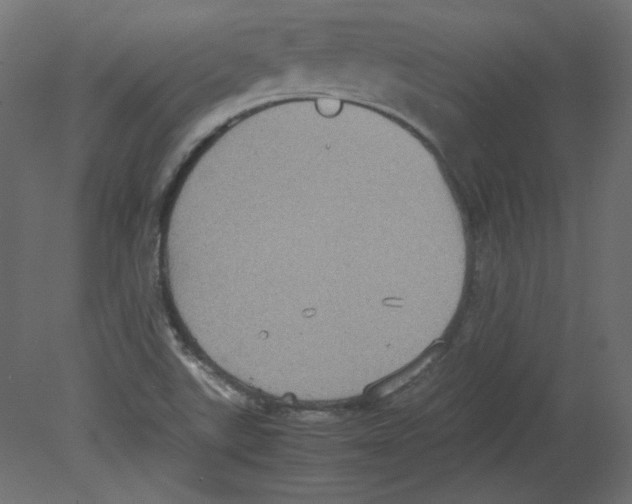 X0000080661507200701121553