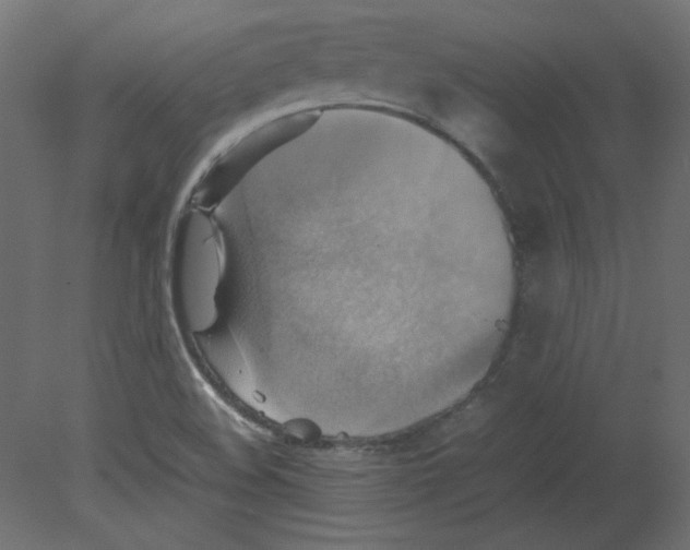 X0000080661508200701121553