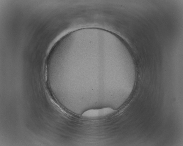 X0000080661510200701121553