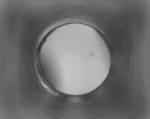 X0000080661511200701121553