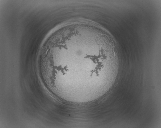 X0000080661514200701121553