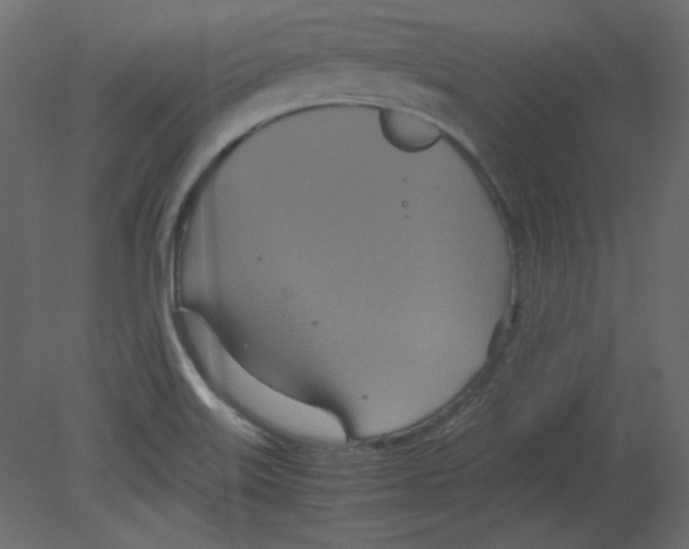 X0000080661515200701121553