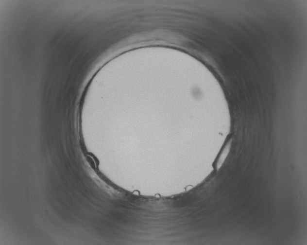 X0000080661516200701121553