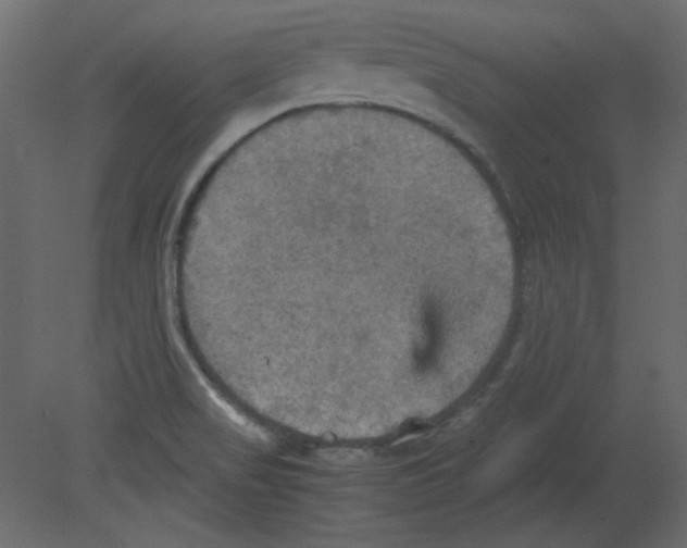 X0000080661517200701121553