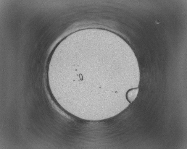 X0000080661518200701121553