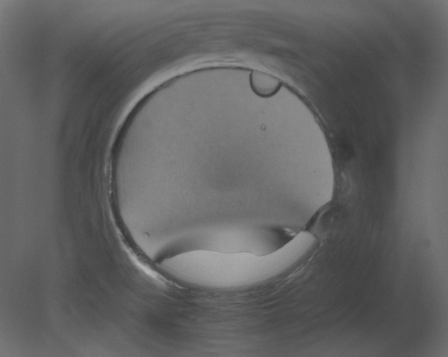 X0000080661519200701121553