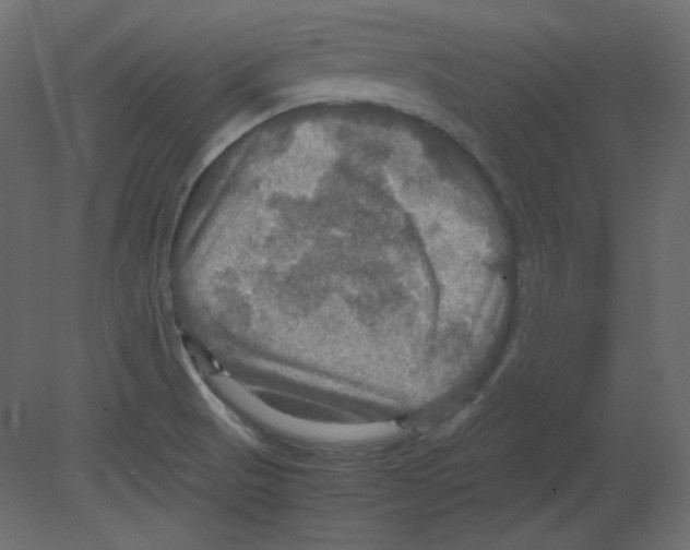 X0000080661521200701121553