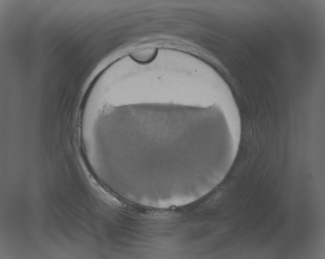 X0000080661522200701121553