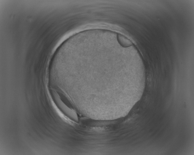 X0000080661523200701121553