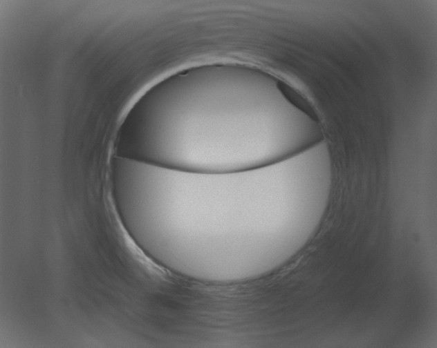 X0000080661524200701121553